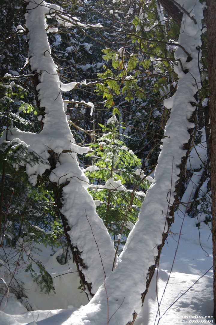 73821 - A lovely Sunday afternoon walk with Beth at the George Langman Sanctuary